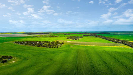 1148 Wharminda Road Port Neill SA 5604 - Image 3