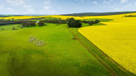 841 Proude Gully Road Green Patch SA 5607 - Image 1