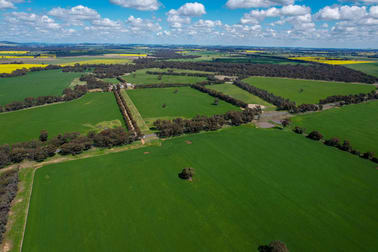 Click to view all images 1167 Walbundrie Road Culcairn NSW 2660 - Image 1