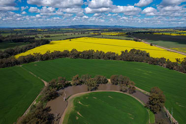 1167 Walbundrie Road Culcairn NSW 2660 - Image 3