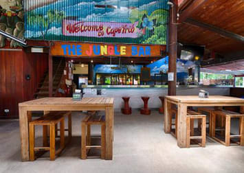Cape Tribulation QLD 4873 - Image 2
