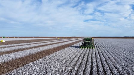 Gundaline Sturt Highway Carrathool NSW 2711 - Image 1