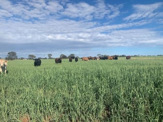 1 Stuart's Creek Road Orallo QLD 4455 - Image 1
