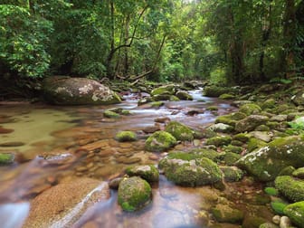 Bellenden Ker QLD 4871 - Image 2