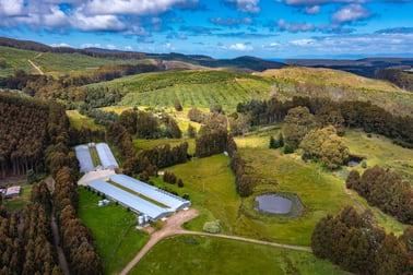 Click to view all images Lot 2/150 Radnor Road Port Arthur TAS 7182 - Image 1