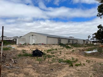 73 Old Swanport Rd Murray Bridge SA 5253 - Image 2