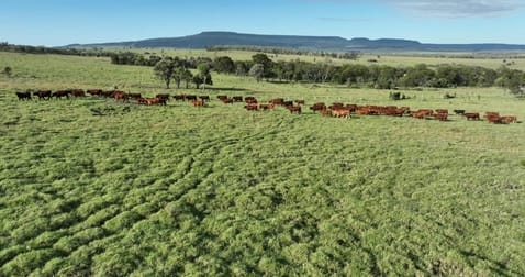 Click to view all images 1477 Womblebank Gap Road Injune QLD 4454 - Image 2
