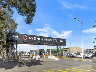 5 N/250-318 Parramatta Road Homebush NSW 2140 - Image 1