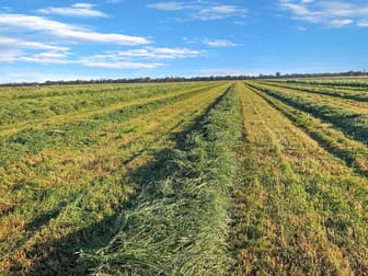 Fairholme Aggregatio Lachlan Valley Way Condobolin NSW 2877 - Image 1