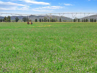 Fairholme Aggregatio Lachlan Valley Way Condobolin NSW 2877 - Image 3