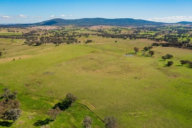 Cootamundra NSW 2590 - Image 2