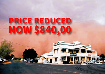 13 Obley Street Yeoval NSW 2868 - Image 1