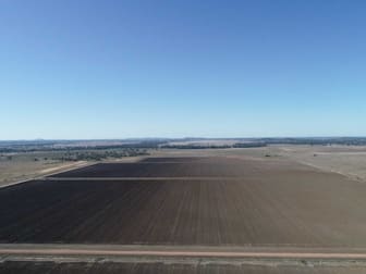 Borambil Station, Lachlan Valley Way Condobolin NSW 2877 - Image 1