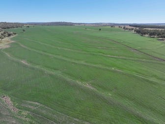 Burmah Aggregation, Burmah Road Graman NSW 2360 - Image 1