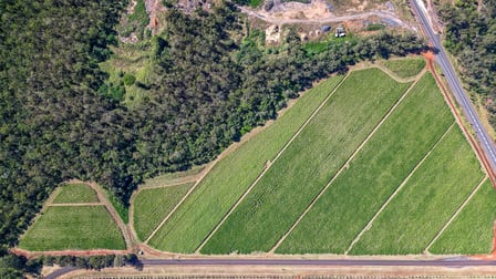 417 Kevin Livingston Drive Isis Central QLD 4660 - Image 3