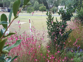 Coonabarabran NSW 2357 - Image 2