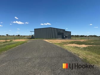 5 Hayden Court Narromine NSW 2821 - Image 3