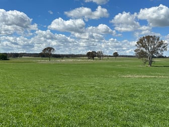 Ivanhoe Little Plains Road Boorowa NSW 2586 - Image 1