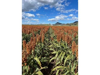 Mullaley NSW 2379 - Image 3