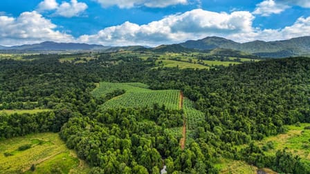 1020 Pullom Road Nerada QLD 4860 - Image 2