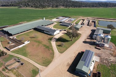 Silvermere Holsteins Forbes Road Cowra NSW 2794 - Image 1