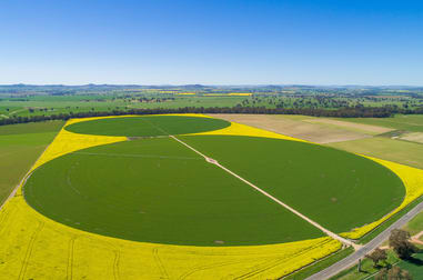 Silvermere Holsteins Forbes Road Cowra NSW 2794 - Image 3