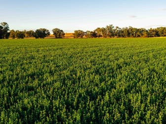Canowindra NSW 2804 - Image 2
