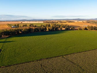 Canowindra NSW 2804 - Image 3