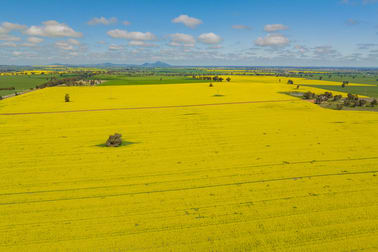 187 Smiths Road Collingullie NSW 2650 - Image 1