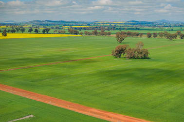 187 Smiths Road Collingullie NSW 2650 - Image 3