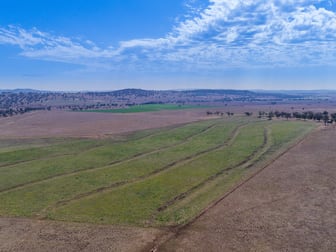 471 McDonalds Creek Road Parraweena NSW 2339 - Image 3