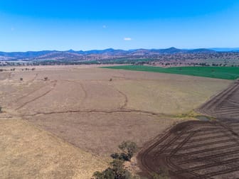471 McDonalds Creek Road Parraweena NSW 2339 - Image 2