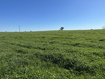 Maybank, Roachdale Road Holbrook NSW 2644 - Image 2