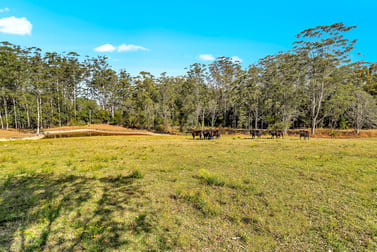 281 EUNGAI CREEK ROAD Eungai Creek NSW 2441 - Image 2