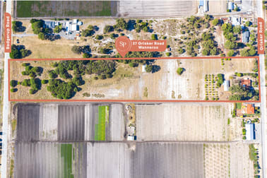 37 Grisker Road Wanneroo WA 6065 - Image 3