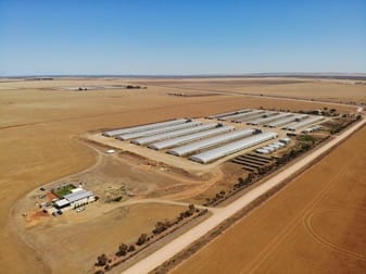 432 Wheat Road Beaufort SA 5550 - Image 1