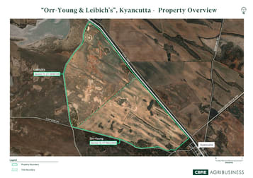 Lot 10 Simpson Road Kyancutta SA 5651 - Image 1