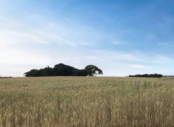 Lot 10 Simpson Road Kyancutta SA 5651 - Image 2
