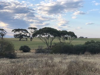 Lot 10 Simpson Road Kyancutta SA 5651 - Image 3
