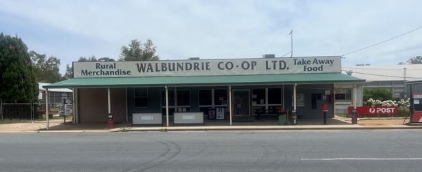 65 Billabong Street Walbundrie NSW 2642 - Image 1
