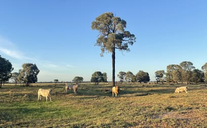 2155 Crowders Creek Road Moonie QLD 4406 - Image 2
