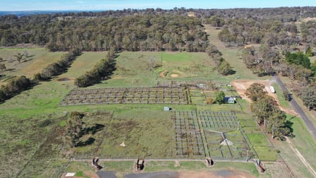 16 - 25 Saleyards Road Walcha NSW 2354 - Image 2