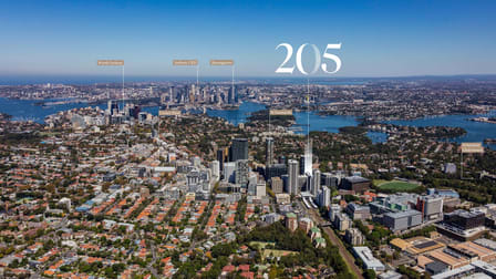 205 Pacific Highway St Leonards NSW 2065 - Image 3