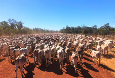 0 Gulf Developmental Road Croydon QLD 4871 - Image 1