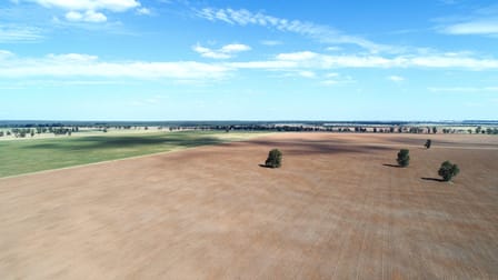 1041 Balladoran Railway Road Gilgandra NSW 2827 - Image 3