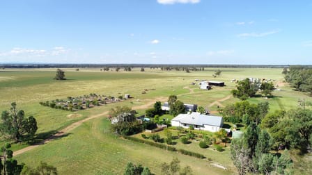 1041 Balladoran Railway Road Gilgandra NSW 2827 - Image 1