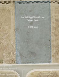 Lot 60 Big Olive Grove Tailem Bend SA 5260 - Image 1