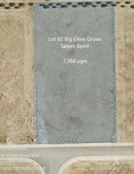 Lot 60 Big Olive Grove Tailem Bend SA 5260 - Image 1