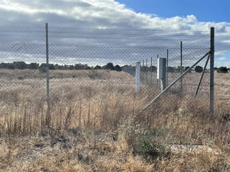 Lot 60 Big Olive Grove Tailem Bend SA 5260 - Image 3