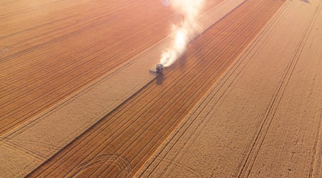 Eurongilly NSW 2663 - Image 3